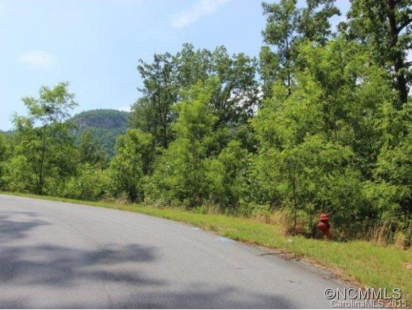 2121 Harm Creek Loop Mill Spring, Unit 2121 Mill Spring, NC 28756 - Photo 16 of 17