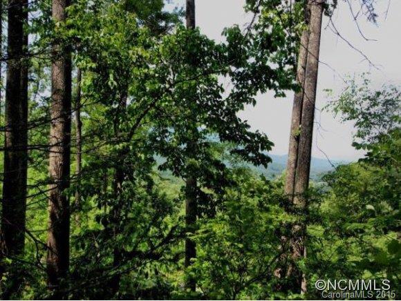 2121 Harm Creek Loop Mill Spring, Unit 2121 Mill Spring, NC 28756 - Photo 3 of 17