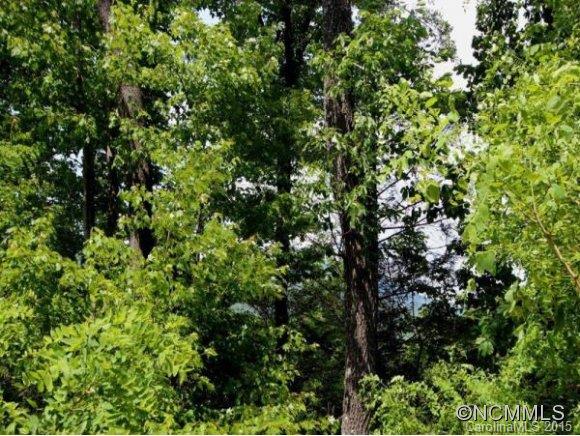 2121 Harm Creek Loop Mill Spring, Unit 2121 Mill Spring, NC 28756 - Photo 5 of 17