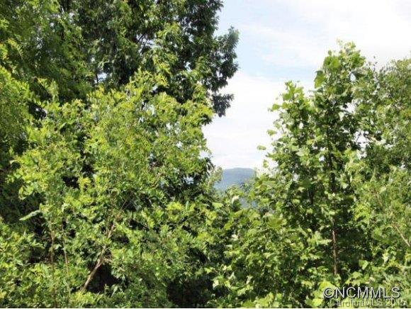 2121 Harm Creek Loop Mill Spring, Unit 2121 Mill Spring, NC 28756 - Photo 6 of 17