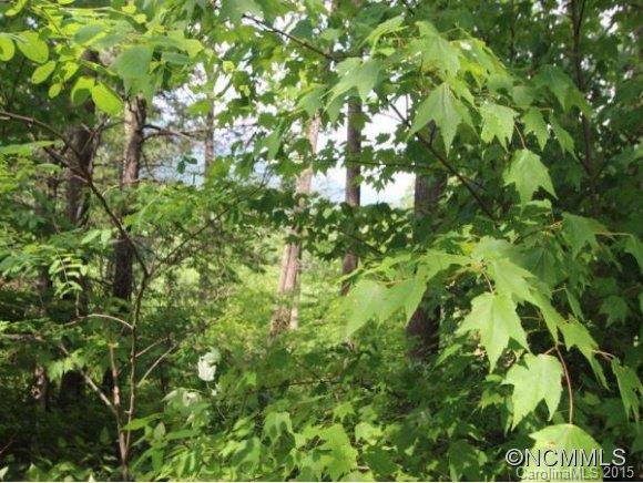 2121 Harm Creek Loop Mill Spring, Unit 2121 Mill Spring, NC 28756 - Photo 7 of 17