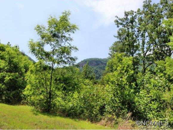 2121 Harm Creek Loop Mill Spring, Unit 2121 Mill Spring, NC 28756 - Photo 8 of 17