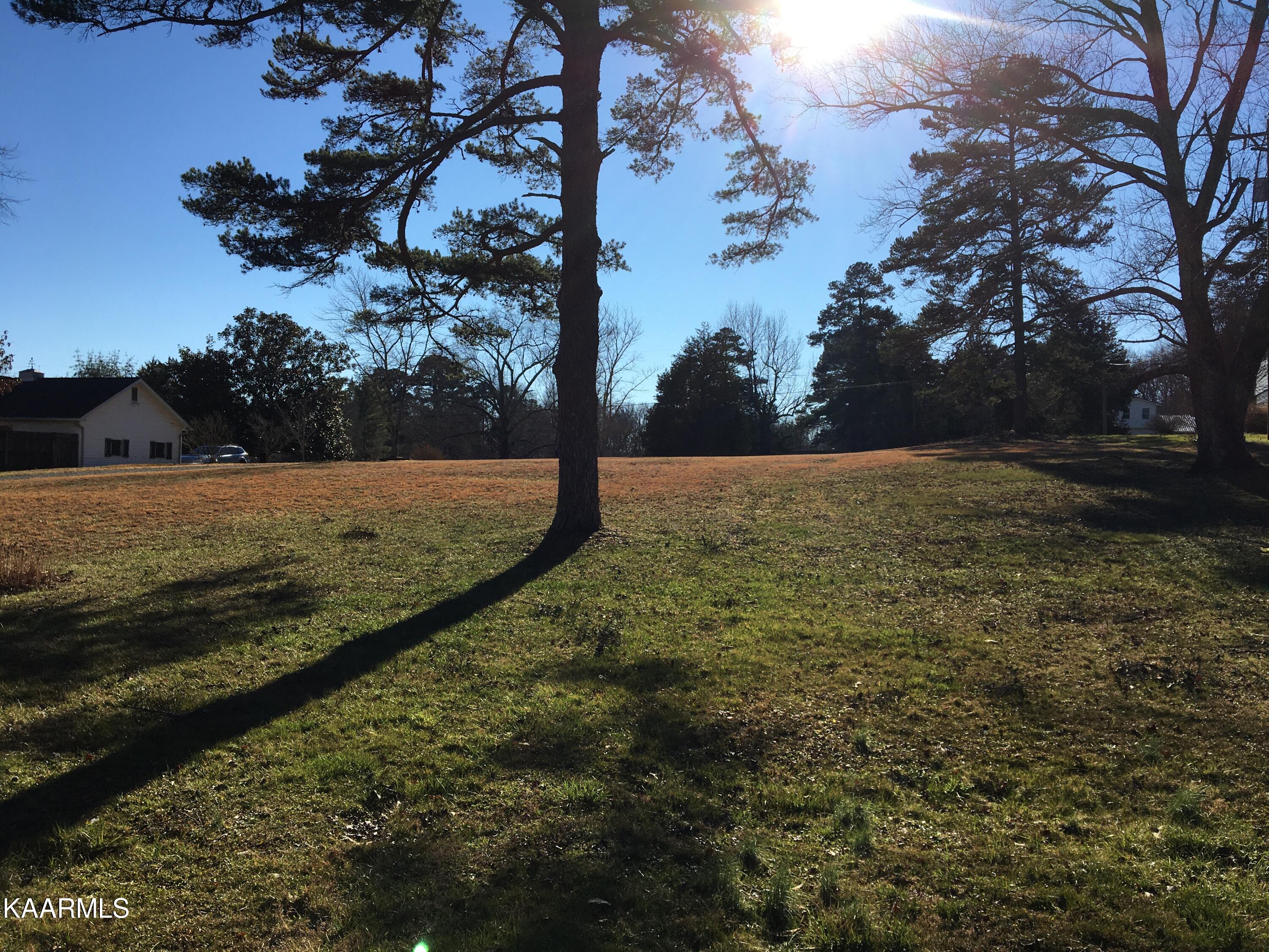 3424 Lobetti Road Knoxville, TN 37931 - Photo 6 of 18 IMG_7078