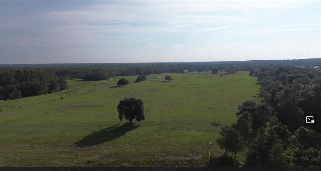 Lot B Burhans Road Eustis, FL 32736 - Photo 9 of 10 a view of a lake with a yard