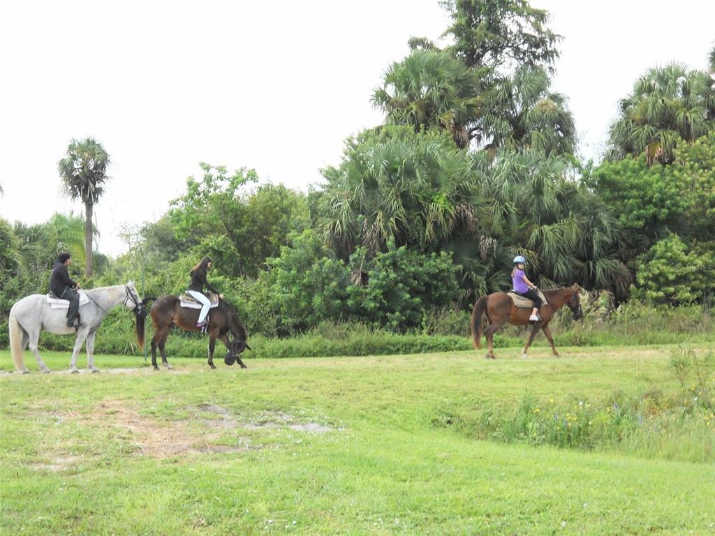 Lot B Burhans Road Eustis, FL 32736 - Photo 10 of 10 a view of a park