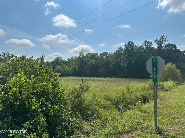 $48,000 | 0 Lofton Road, Enville, TN 38332