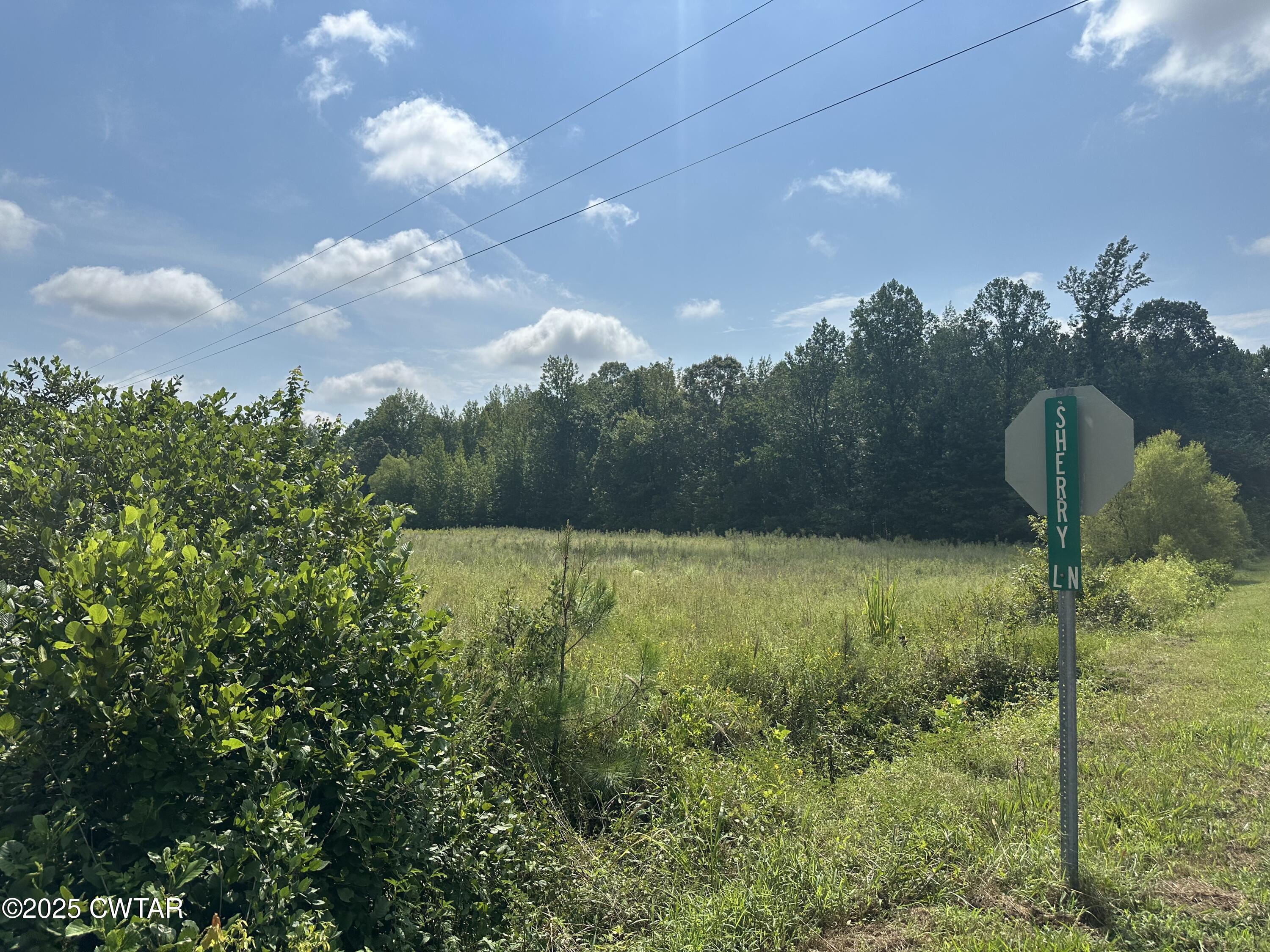 0 Lofton Road Enville, TN 38332 - Photo 3 of 4 a view of a back yard