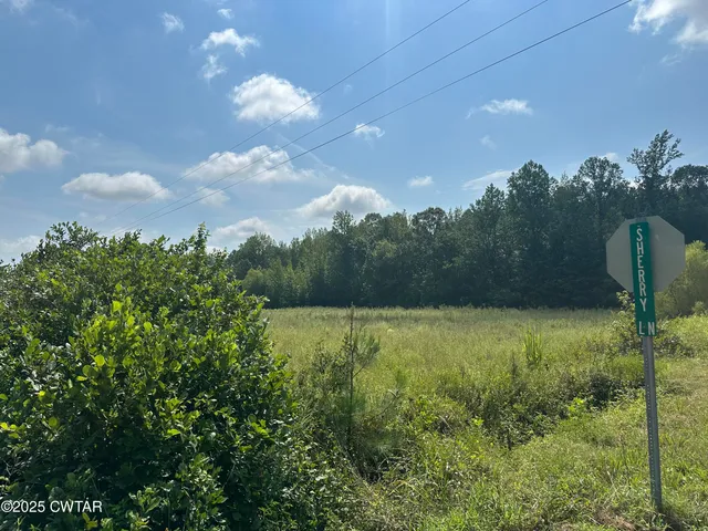 $48,000 | 0 Lofton Road, Enville, TN 38332