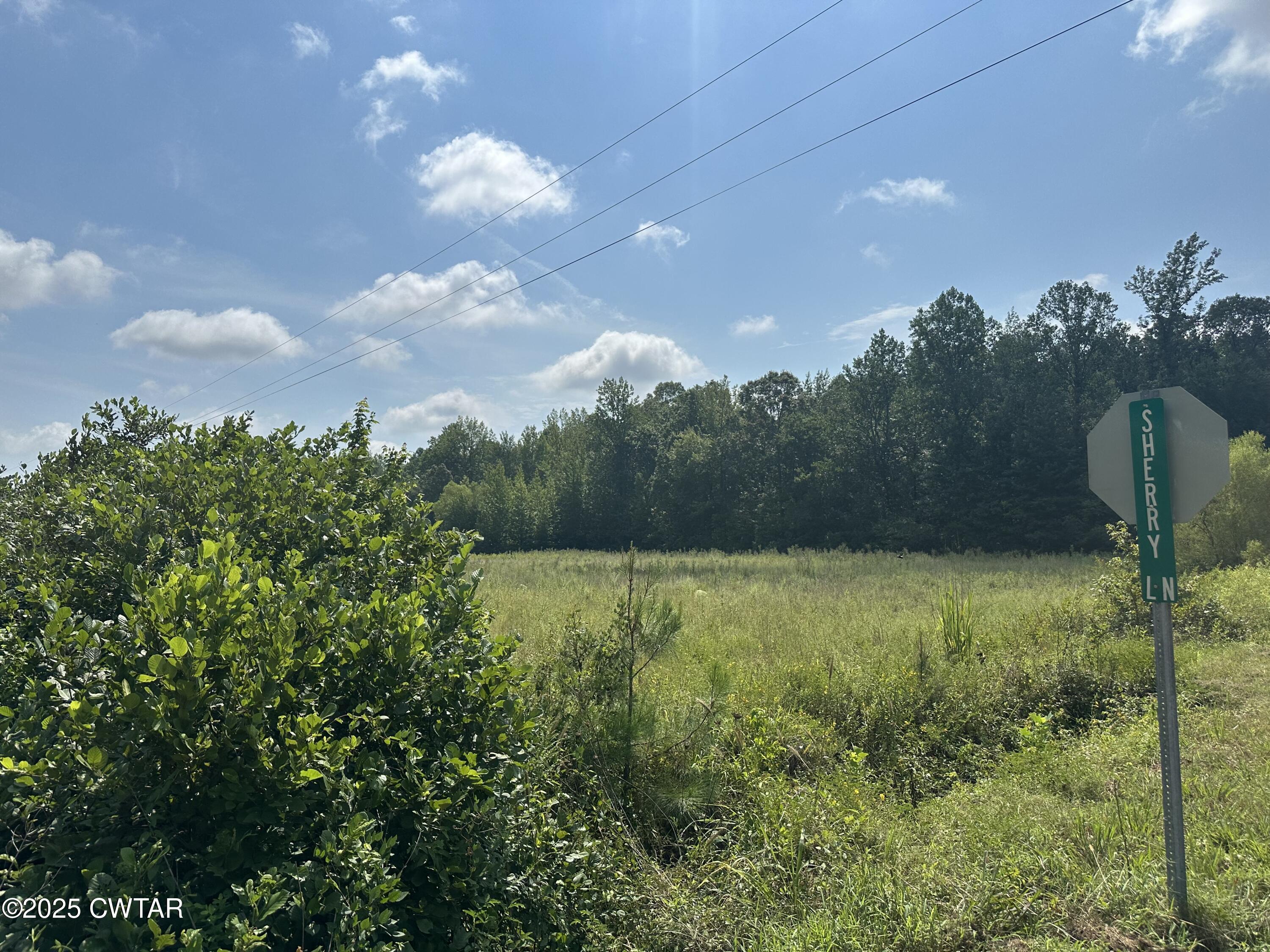 0 Lofton Road Enville, TN 38332 - Photo 4 of 4