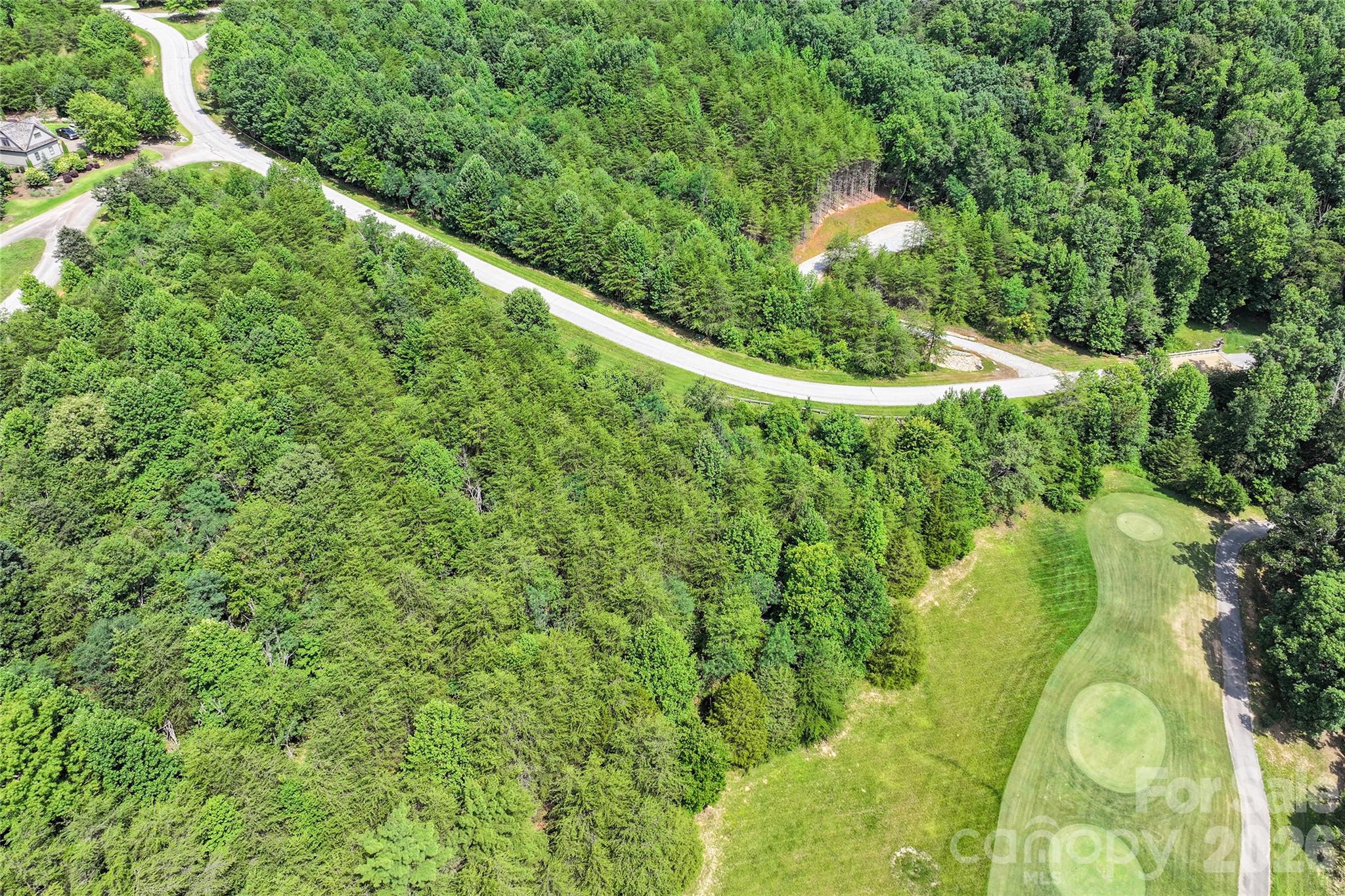 1361 Deep Gap Farm Road East Mill Spring, NC 28756 - Photo 11 of 23
