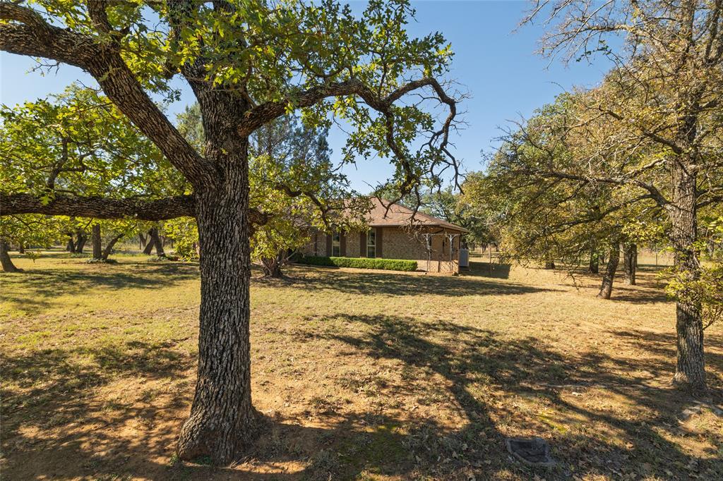 970 Live Oak Road Santo, TX 76472 - Photo 2 of 38