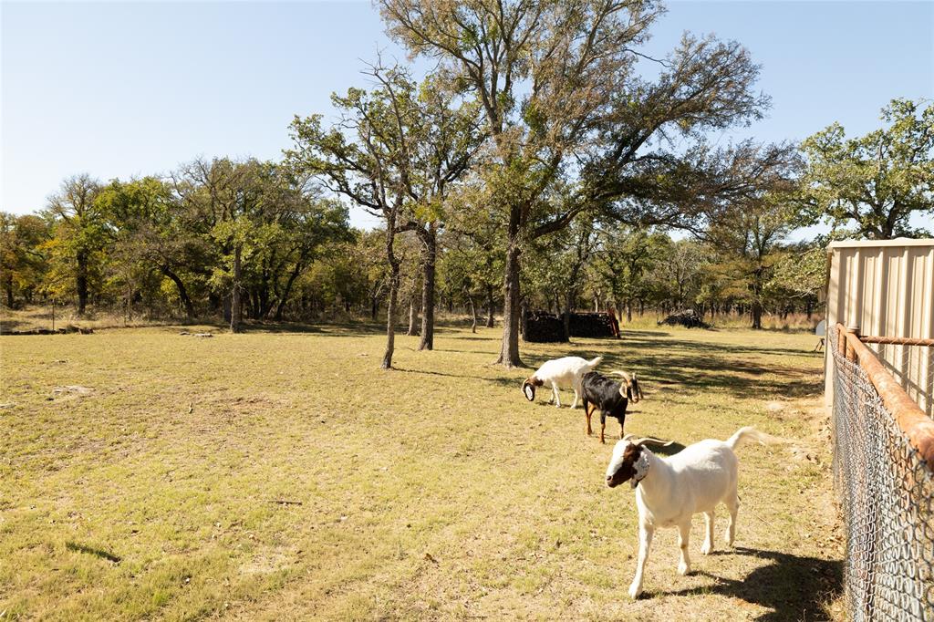 970 Live Oak Road Santo, TX 76472 - Photo 36 of 38