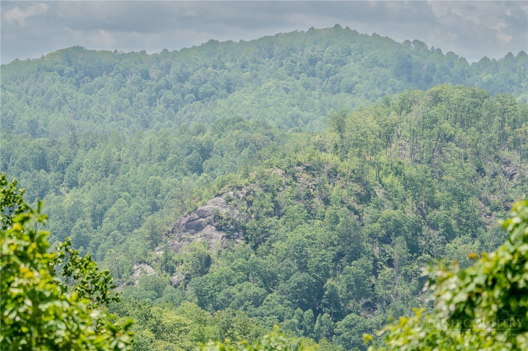 0 Beaver Dam Road Elk Park, NC 28622 - Photo 10 of 14 a view of a lush green forest with lush green forest