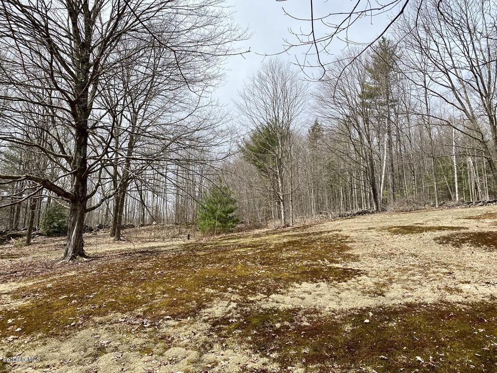 30 Avery Road Buckland, MA 01339 - Photo 22 of 26 a backyard of a house with trees