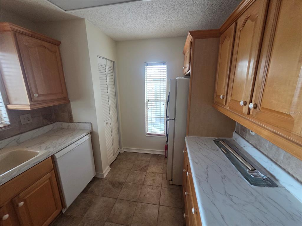 2010 Branch Tree Lane Brandon, FL 33511 - Photo 12 of 26