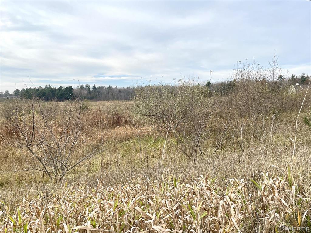 3 Maes Road West Branch, MI 48661 - Photo 4 of 6