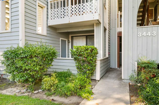 a view of a house with potted plants