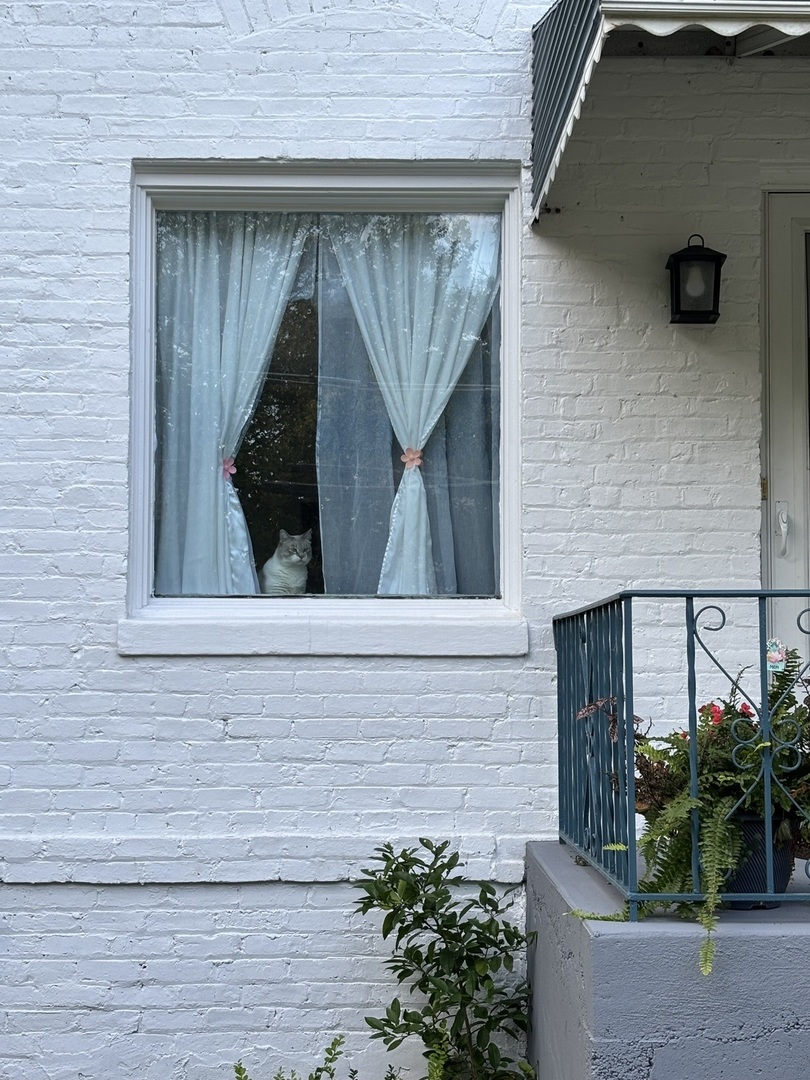 844 Deerfield Road, Unit 2 Highland Park, IL 60035 - Photo 2 of 18 a view of a potted plants in front of door