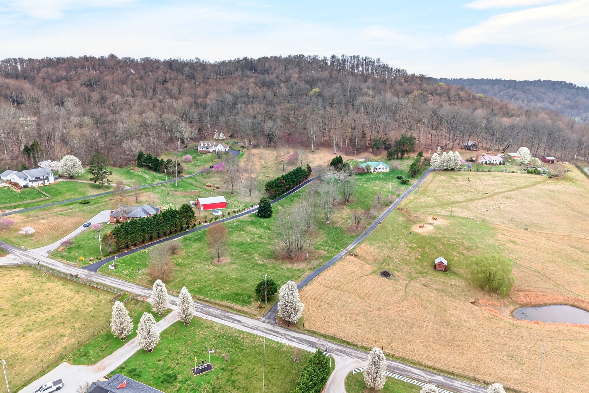 444 Mackie Road Sparta, TN 38583 - Photo 21 of 31 a view of a backyard