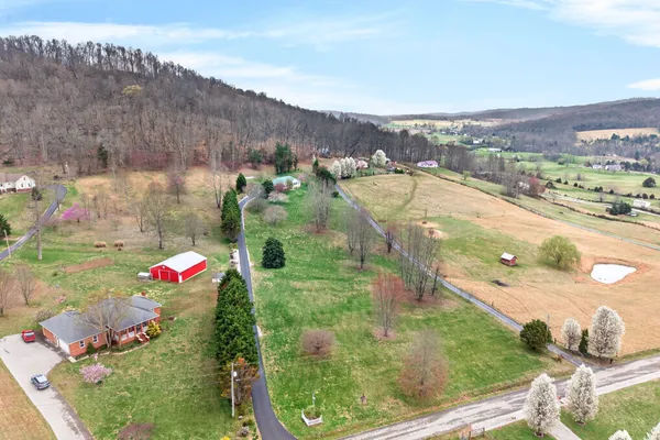 a grassy field with lots of trees