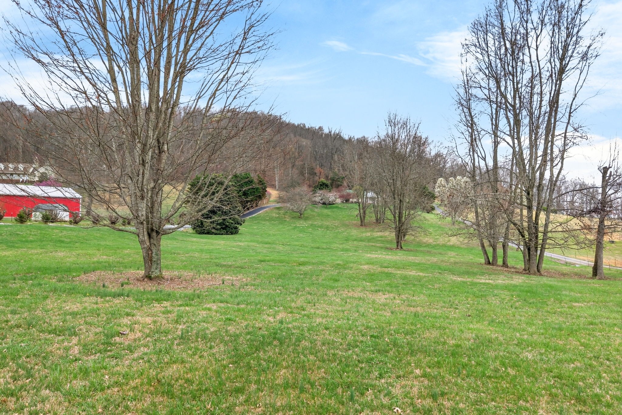 444 Mackie Road Sparta, TN 38583 - Photo 23 of 31 a grassy field with lots of trees