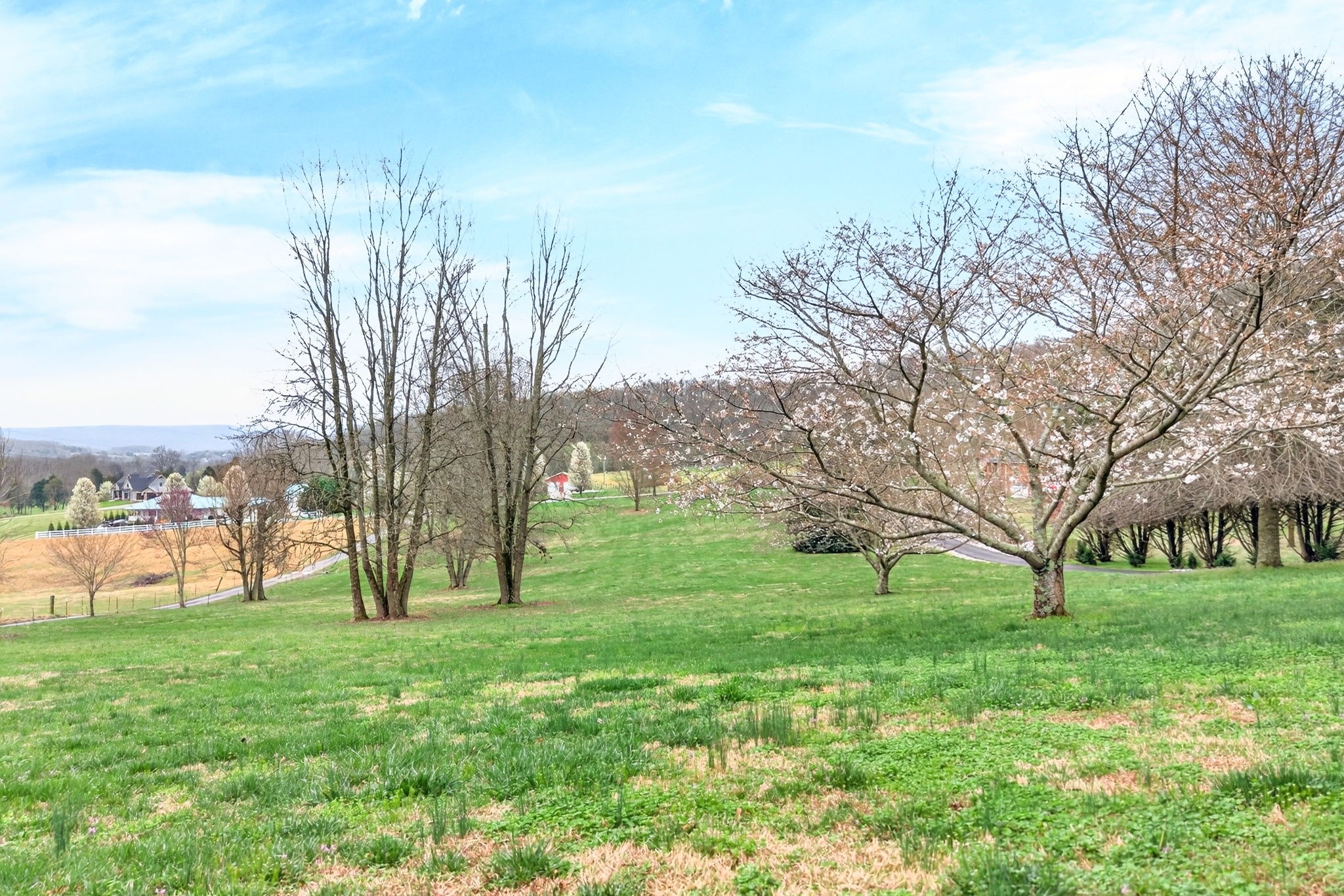 444 Mackie Road Sparta, TN 38583 - Photo 24 of 31 a view of yard with trees