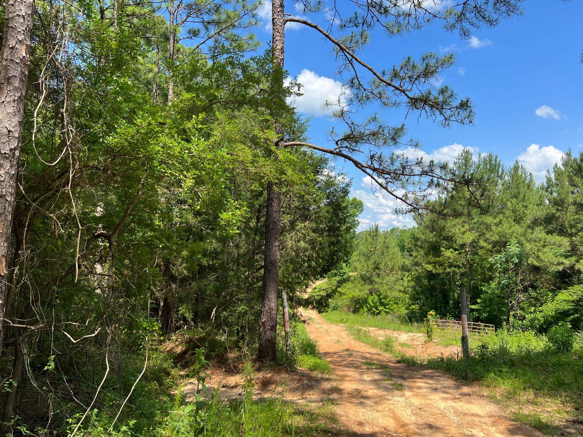 22730 Zell Ready Road Andalusia, AL 36421 - Photo 2 of 37 Gallery Image 2