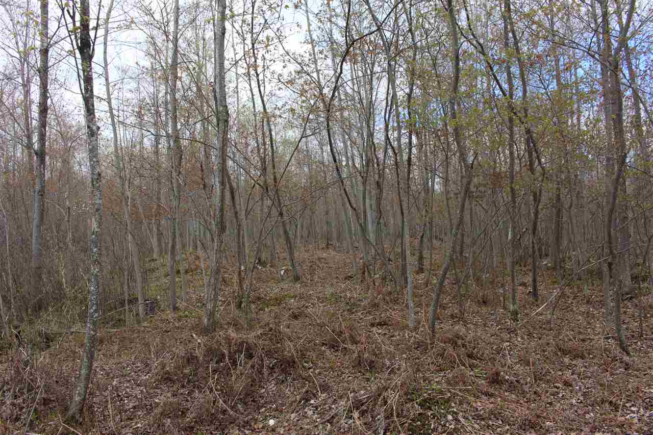 0 Nine North Nine Mile Road Pinconning, MI 48650 - Photo 20 of 32