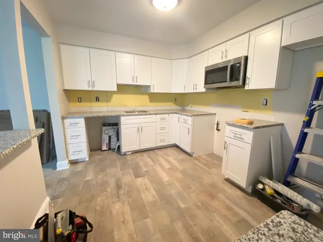 a view of a park with a large trees