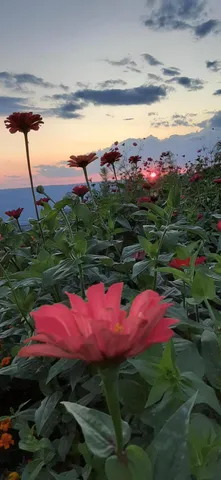 $1,800,000 | 190 Gray Fox Court, Jasper, TN 37347