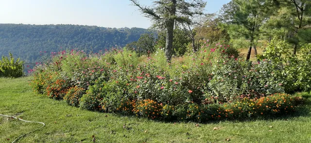 $1,800,000 | 190 Gray Fox Court, Jasper, TN 37347