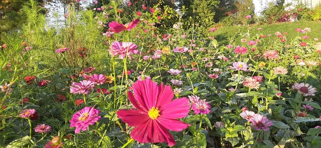 $1,800,000 | 190 Gray Fox Court, Jasper, TN 37347