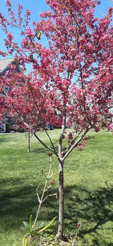 $1,800,000 | 190 Gray Fox Court, Jasper, TN 37347