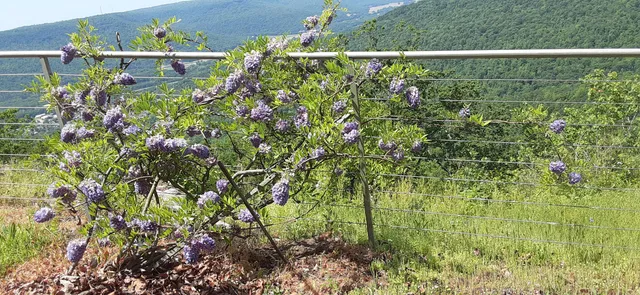 $1,800,000 | 190 Gray Fox Court, Jasper, TN 37347