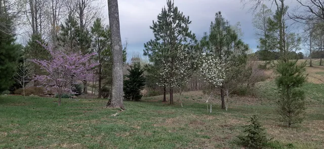 $1,800,000 | 190 Gray Fox Court, Jasper, TN 37347