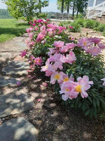 $1,800,000 | 190 Gray Fox Court, Jasper, TN 37347