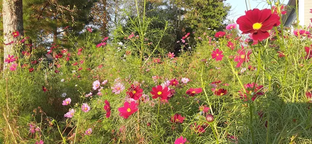 $1,800,000 | 190 Gray Fox Court, Jasper, TN 37347