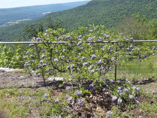 $1,800,000 | 190 Gray Fox Court, Jasper, TN 37347