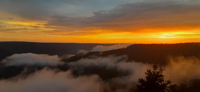 $1,800,000 | 190 Gray Fox Court, Jasper, TN 37347