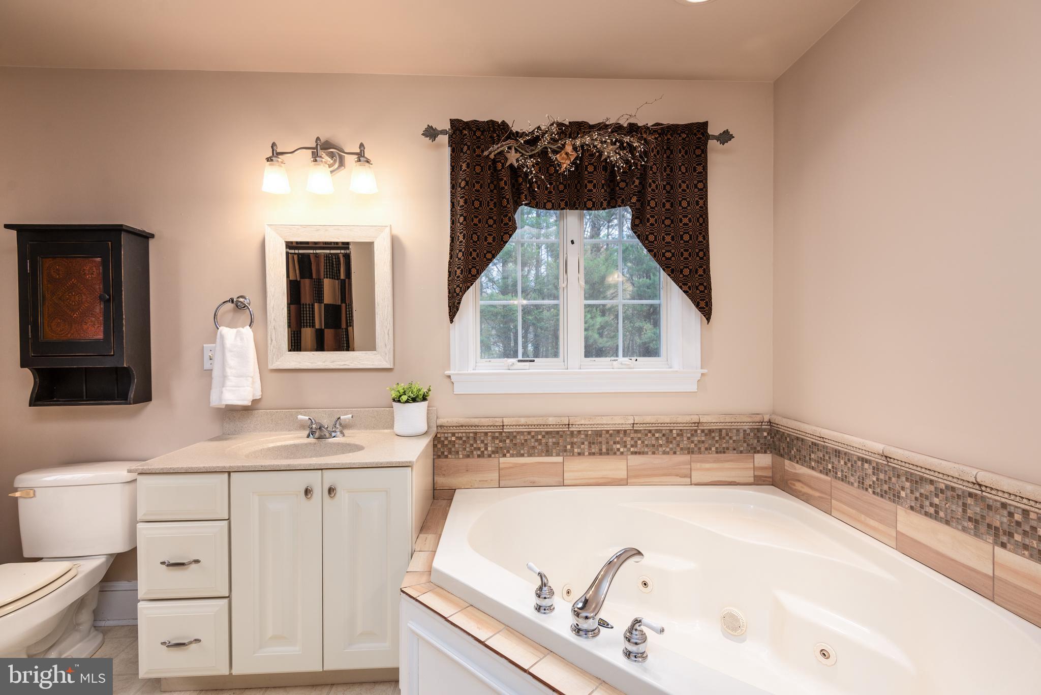1002 Burrisville Road Centreville, MD 21617 - Photo 32 of 50 a bathroom with a bathtub and a sink