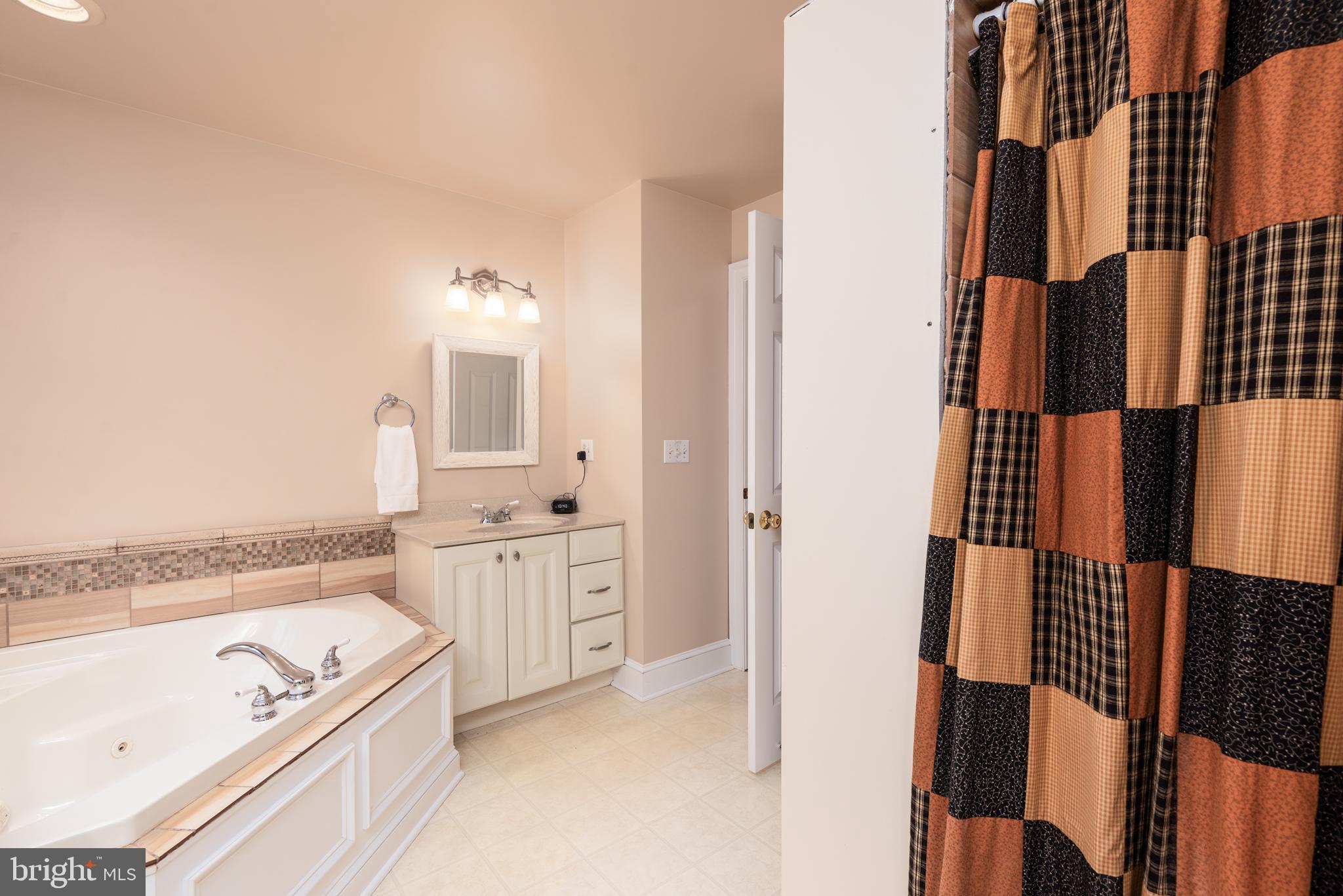 1002 Burrisville Road Centreville, MD 21617 - Photo 33 of 50 a bathroom with a tub sink and mirror