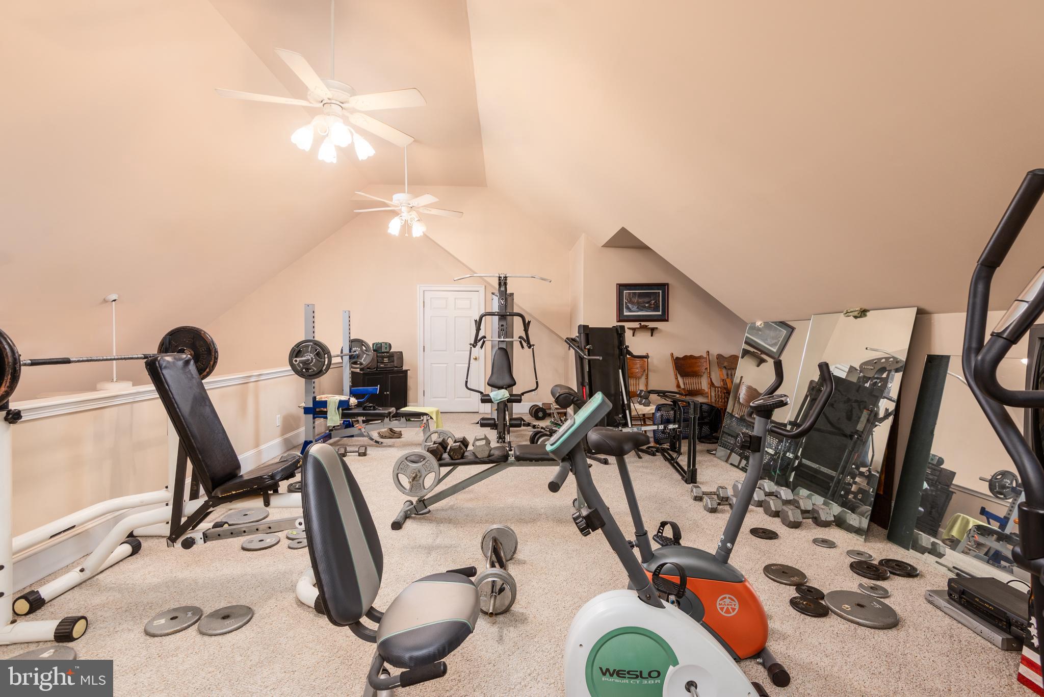 1002 Burrisville Road Centreville, MD 21617 - Photo 43 of 50 a view of a room with gym equipment