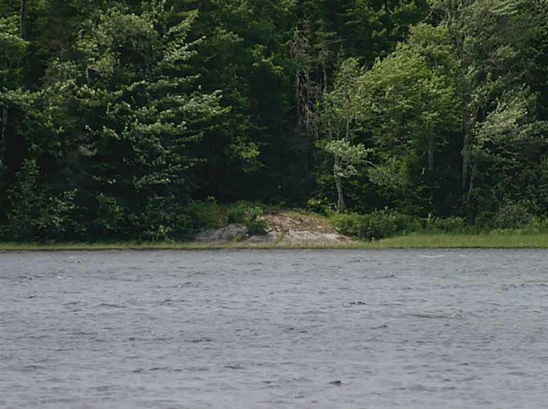 500 Dresser Road Bucksport, ME 04416 - Photo 7 of 28 Waterfront/Dock/Pier.