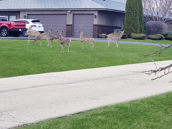 $949,900 | 16212 Maramel Drive, Homer Glen, IL 60491