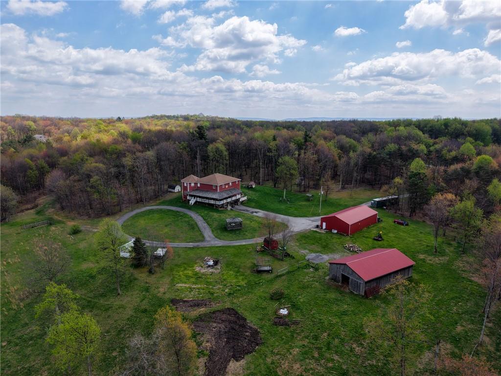 2447 Luciusboro Road Homer City, PA 15748 - Photo 38 of 44