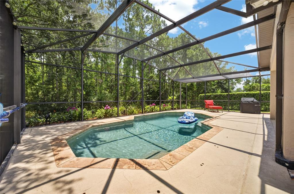 6587 Old Carriage Road Winter Garden, FL 34787 - Photo 4 of 85