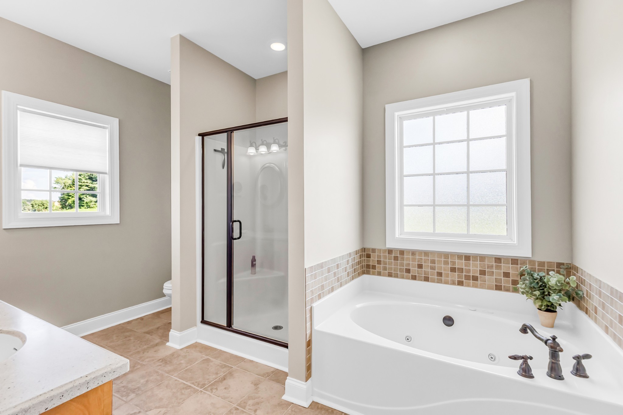 226 Ranch Road Portland, TN 37148 - Photo 30 of 54 a bathroom with a bathtub and a shower