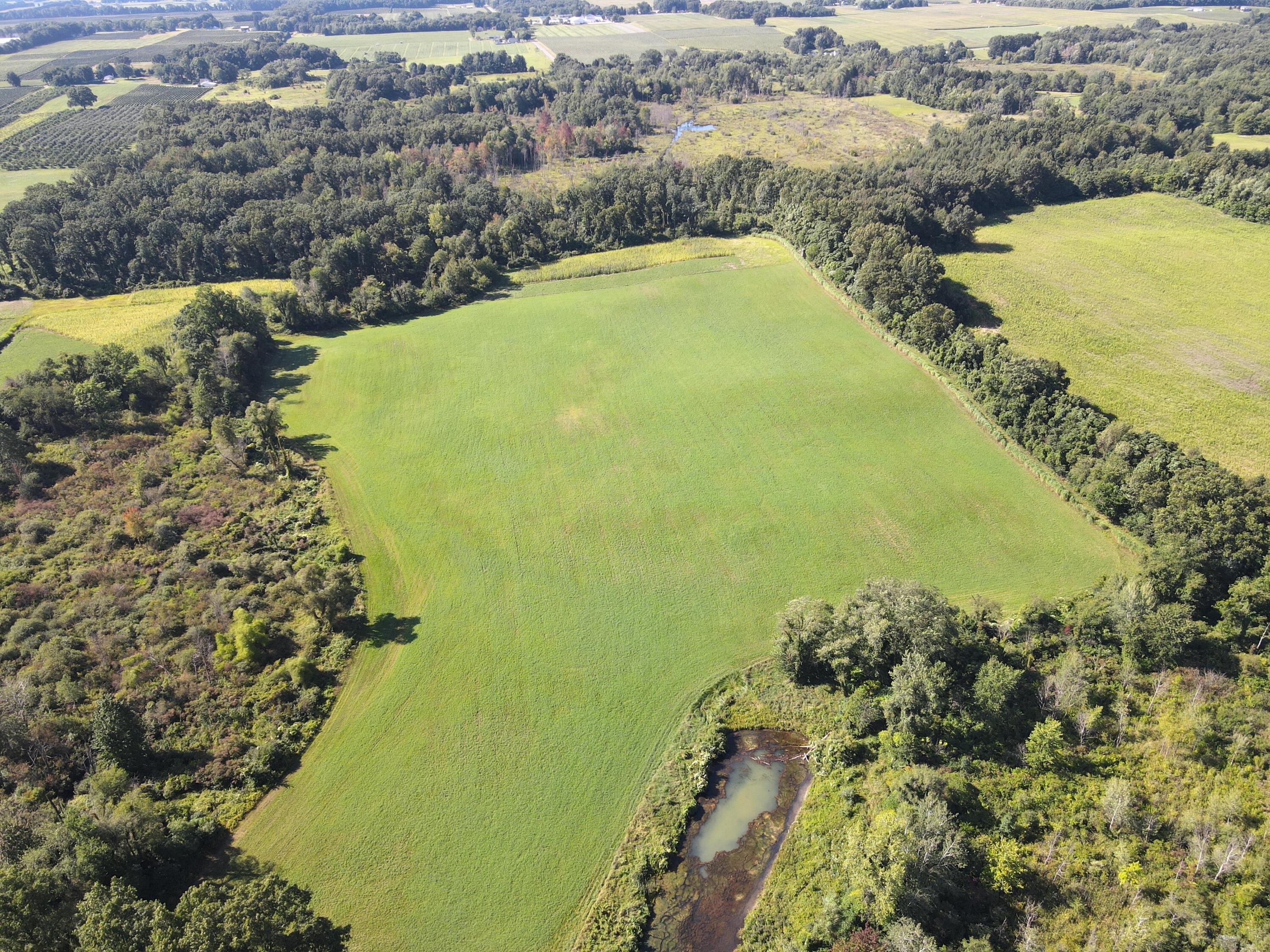 DJI_0632