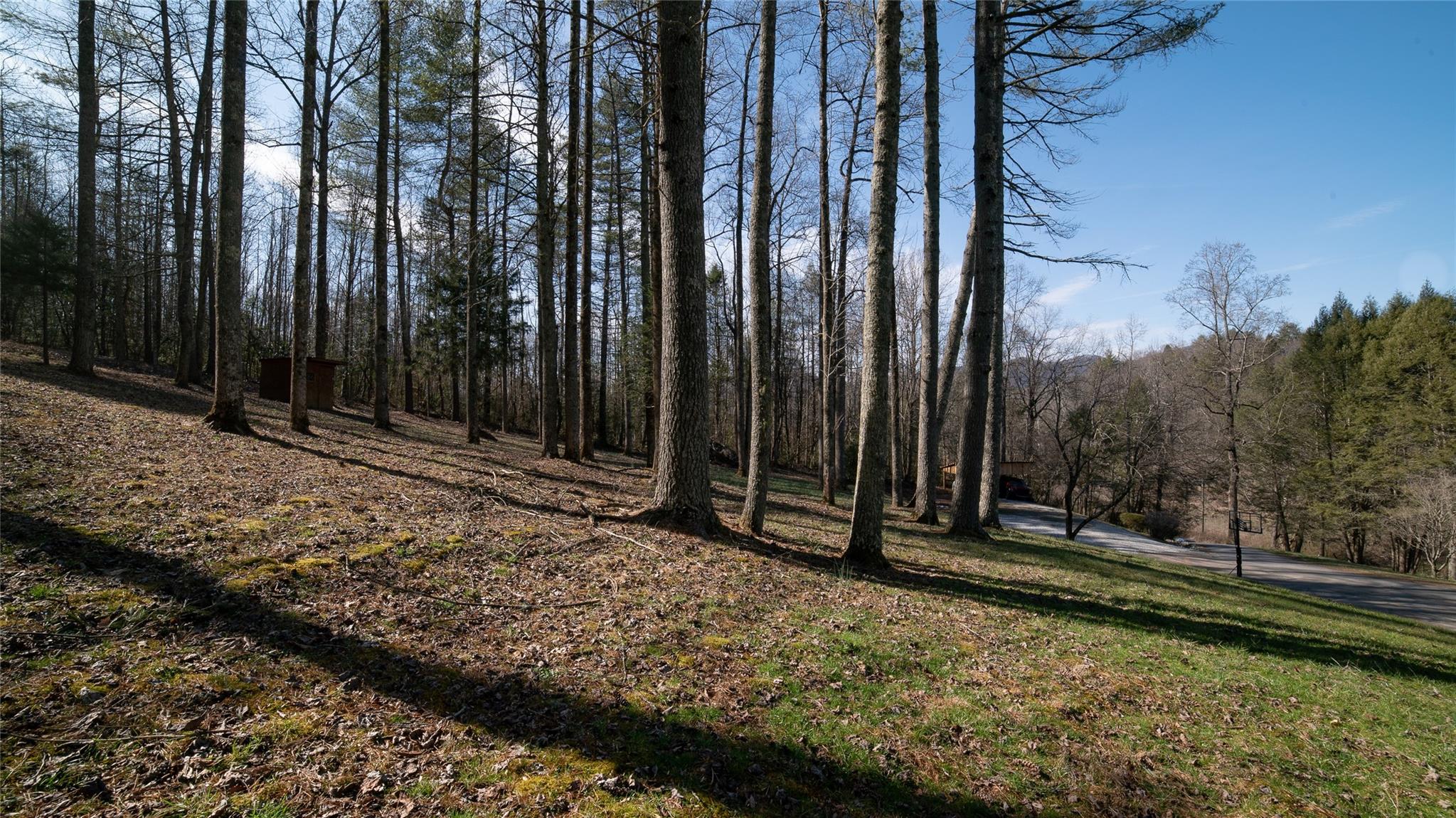 2525 Winkler Way Road Lenoir, NC 28645 - Photo 45 of 47 a view of outdoor space with garden