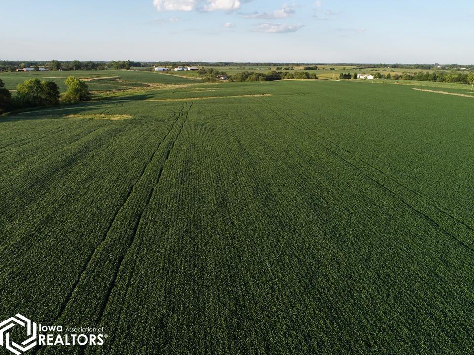22271 Bluegrass Road Ottumwa, IA 52501 - Photo 6 of 18 Gallery Image 6